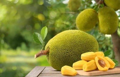 Joy Roy Gardens Jackfruit